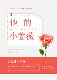 他的小玫瑰免费阅读