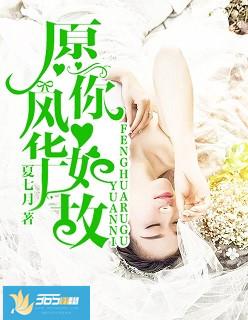 风华如故成语意思