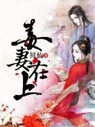 毒妻在上原著