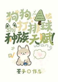 狗狗打比赛是什么意思