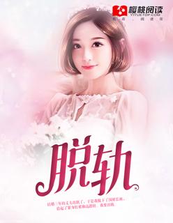 脱轨表示器