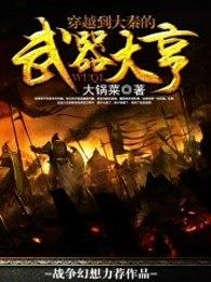穿越到大秦的武器大亨全集