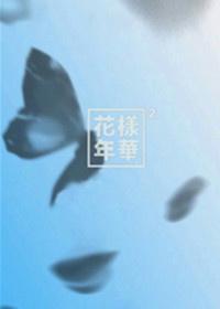 bts之花样年华