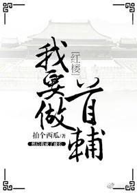 我要做首辅怎么样