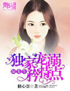 陆先生家的独家甜婚