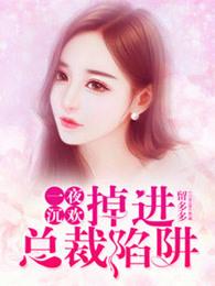 一夜沉婚无弹窗