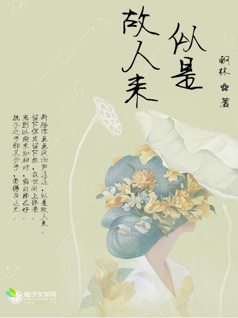 似是故人来第二季短剧完整版