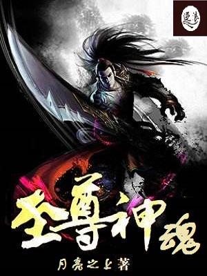 神魂至尊顶点