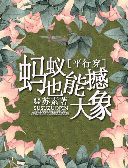 蚂蚁可以举起大象吗