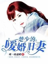 楚少的宠妻指南全文免费