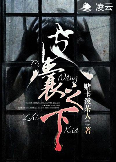 皮囊之下书