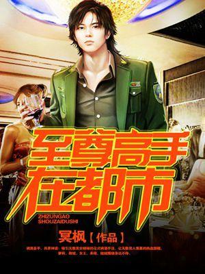 至尊高手免费