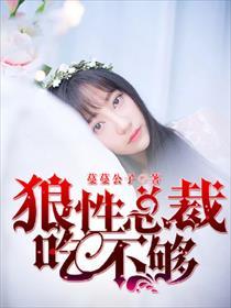 狼性总裁宠不够