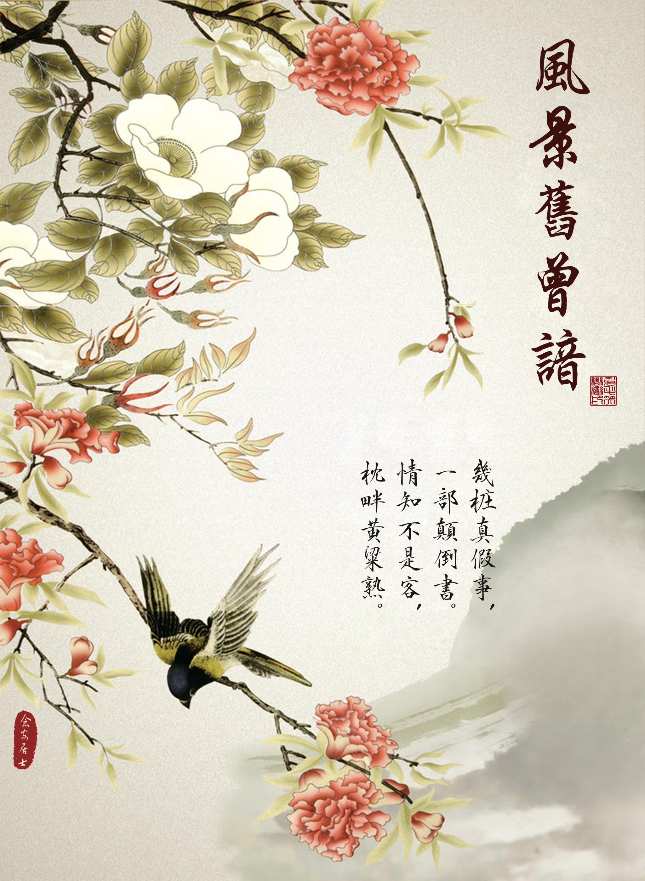 红楼风推荐