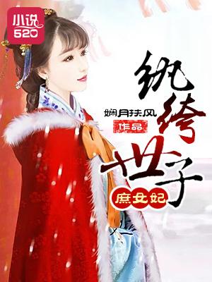 纨绔世子妃纨绔世子妃
