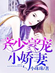 齐少宠妻至上