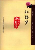 红楼梦白话文版完整版