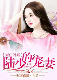 陆少的闪婚小萌妻