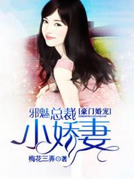 豪门婚宠我的邪魅老公全文阅读