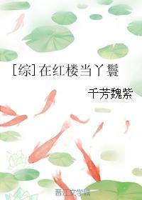 在红楼当丫鬟综无防盗50