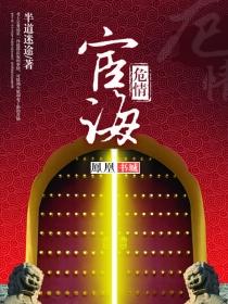宦海惊情