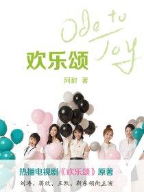 欢乐颂30集第一季