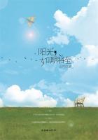 阳光如约而至免费阅读