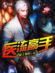 医流高手丁浩txt