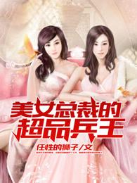 美女总裁的超品兵王叶辰爱尚网笔趣阁电脑版
