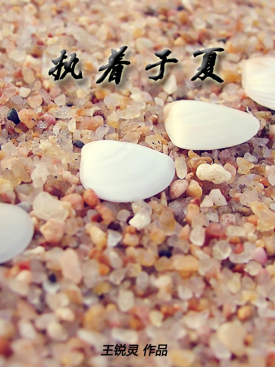执着于他27