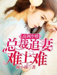 冷总裁的追妻之路