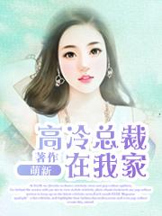 高冷总裁缠上门免费阅读