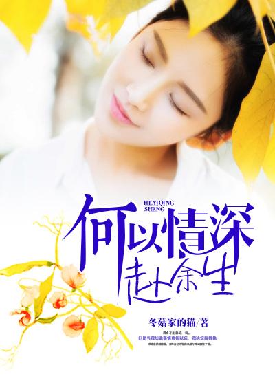 何以渡余生歌词