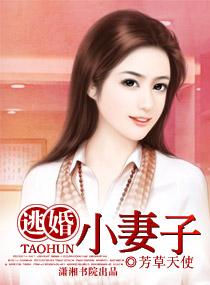 小逃妻书评