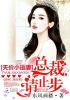 总裁的天价小逃妻免费阅读