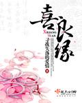 喜良缘 寻找失落的爱情主要写了什么