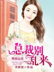 婚前试爱总裁