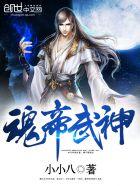 魂帝武神大结局
