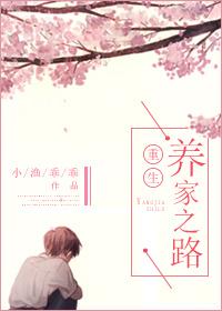 重生之养家之道