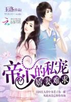 帝少的私宠鲜妻 免费阅读