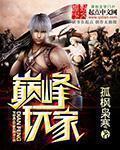 巅峰玩家作者