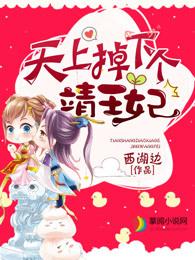天上掉下来个靖王妃全文免费阅读