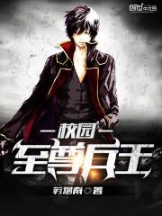 校园至尊高手