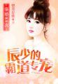 辰少的豪门宠妻