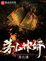 茅山赘婿无删减免费阅读