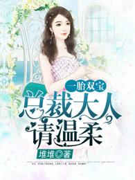 总裁一胎双宝总裁大人夜夜欢