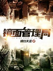 镜面皮肤管理官网
