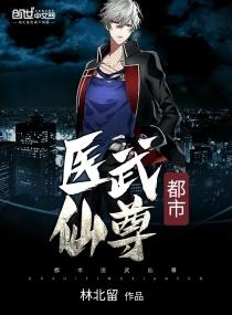 都市医武仙尊陈阳