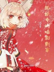 狐狸暗影妖狐怎么样