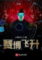 赛博朋克 飞行